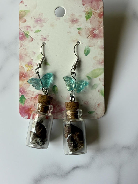 🌊 Seashell Jar Earrings Collection